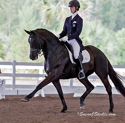 Dressage rider and trainer Caroline Roffman of Lionshare Dressage, and her beautiful black mare, Her Highness O, dominated during the Wellington Classic Dressage Challenge I, taking firsts in both the FEI Prix St Georges Open and FEI Intermediare 1. (Photo courtesy of Al Guden)