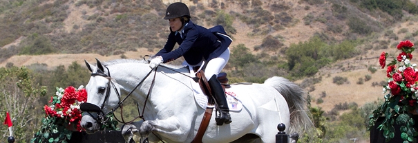 The Thoroughbred Classic Horse Show Series