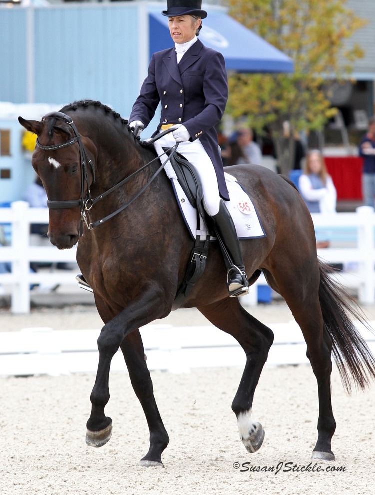 Mette Larsen, Neue Scule US bit distributor, riding Ulivi won the USDF KWPN Adult Amateur at Prix St. George Championship and Reserve Champion at the Intermediare-1 AA. (Photo courtesy of Susan J Stickle)