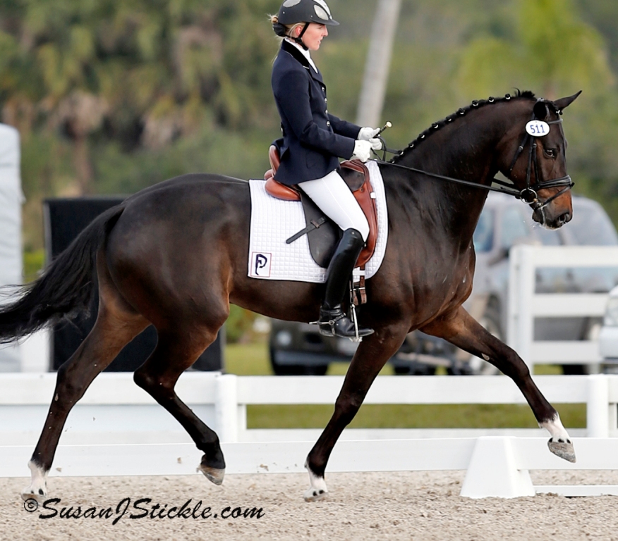 Piaffe Performance’s Young Stars Shine at the Palm Beach Dressage Derby CDI