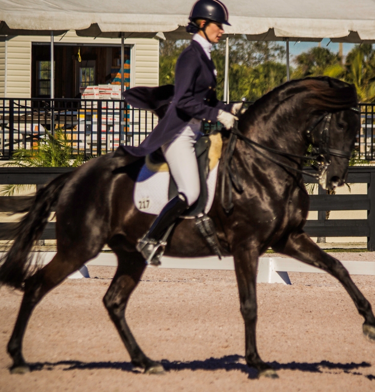 Roffman Rides to High Points at Florida Dressage Classic CDI