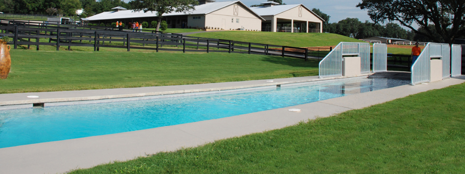 The main buildings of The Sanctuary Equine Sports Therapy and Rehabilitation Center.