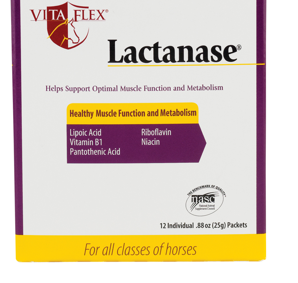 Vita Flex® Lactanase® and Jacket Giveaway Winner From Pittsburgh Reins In Sweepstakes Prizes