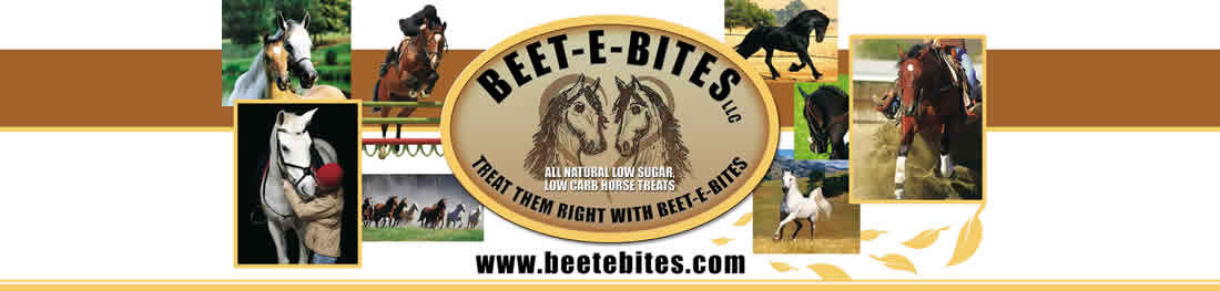 BEET-E-BITES - Low Sugar, Low Carb Horse Treats.
