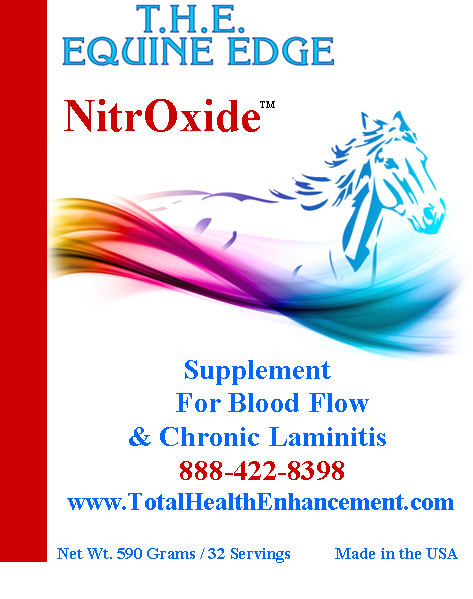 Nitric Oxide – How The “Mighty Molecule” Can Help Your Horse