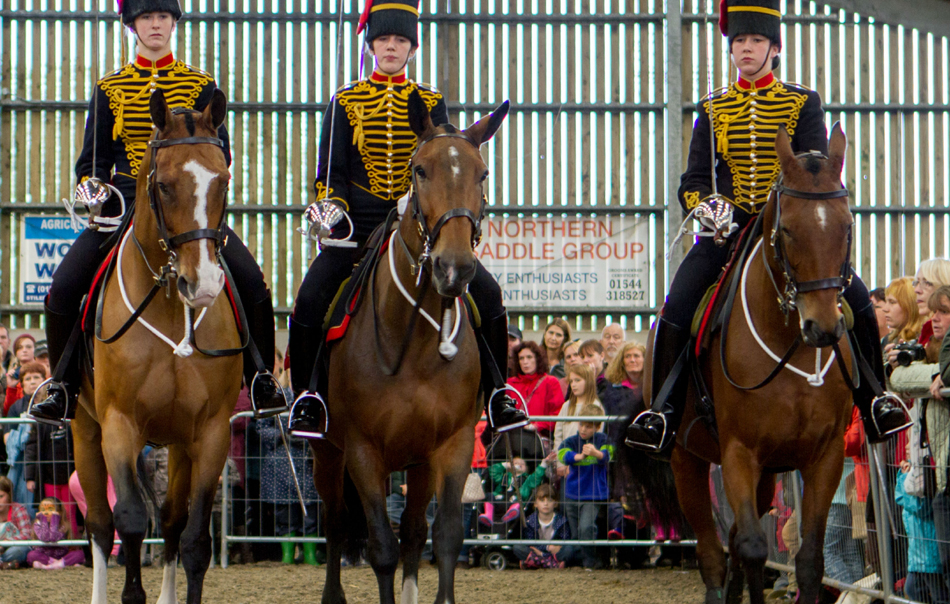 World Horse Welfare's Penny Farm in Lancashire held its annual open day last weekend as Penny the King's Troop horse was handed back to the charity after 12 years of service in the Royal Horse Artillery.
