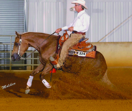 Choice of Champions Provides Winning Edge to Rocky Dare and Taylor Young at 2013 All American Quarter Horse Congress Wellington, FL (December 3, 2013) – Choice of Champions International, a company that specializes in producing supplements designed to aid sport horses, is pleased to congratulate reiner Rocky Dare and barrel racer Taylor Young on their success at the 2013 All American Quarter Horse Congress. Both Dare and Young have made Choice of Champions’ supplements a major part of their horses’ training regiment to give them that winning edge, and their winning results at Congress speak for themselves. Dare took first place in both the NRHA Open Reining and the NRHA Prime Time Open Reining classes riding Great King Pine, owned by Patti Widener. He also won the NRHA Open Freestyle Reining class aboard Squeaky Clean Jeans, owned by Bruce and Sue Kuryloski. Young rode her own 12-year-old gelding, KissMySkooter to first place in the Senior Barrel Racing class, as well as placed 12th in the first round of the Wenger Barrel Racing Sweepstakes, and placed 2nd in the second round of the Sweepstakes for an overall finish of 5th Place in the Wenger Barrel Racing Sweepstakes Average.