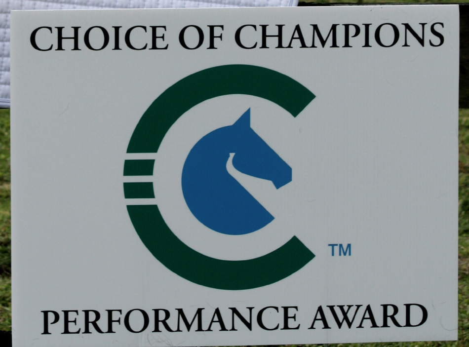 Choice of Champions Sponsors Performance Award at 2014 Adequan Global Dressage Festival Wellington, FL (January 9, 2014) - Exceptional performances are the hallmark of champions, and with this in mind, Allyn Maix and Choice of Champions, International are proudly sponsoring the Choice of Champions Performance Award. The award will recognize exemplary performances by a riders and horses at the 2014 Adequan Global Dressage Festival CDI series from January 8 - March 30 in Wellington, Florida. Each chosen champion will receive a Choice of Champions ribbon, a selection of product and an embroidered saddle pad commemorating their exceptional performance.