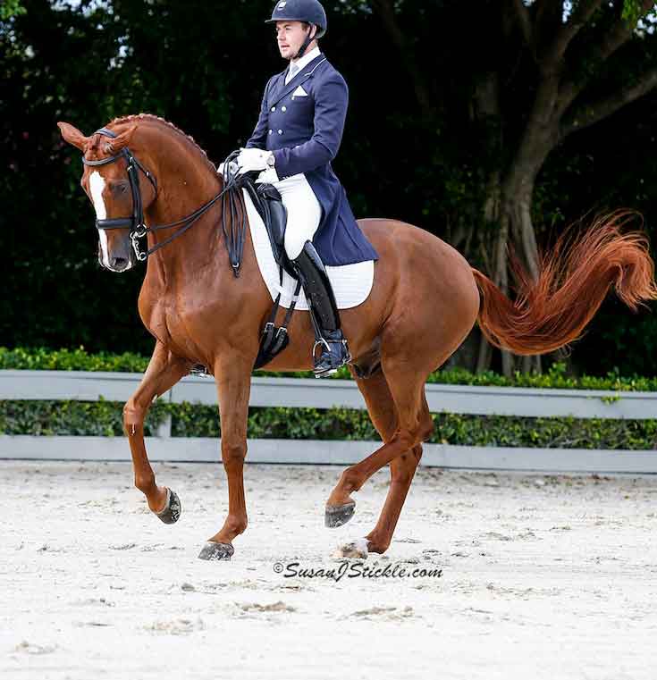 Endel Ots Finishes Out Successful Season with Donatus Wellington, FL (April 9, 2014) – It has been a season of success for Endel Ots and Donatus, who scored a 73.00% in the USEF Developing Horse Grand Prix to place first yet again during the final week of the 2014 Adequan Global Dressage Festival. The young team’s first season competing together has been marked by high scores, and Donatus is now the top ranked horse in the Developing Horse Grand Prix.