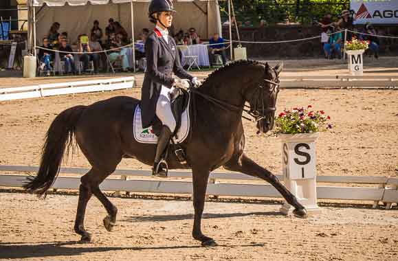 ShowChic and Equiline Congratulate Caroline Roffman on Her Success at the US Festival of Champions