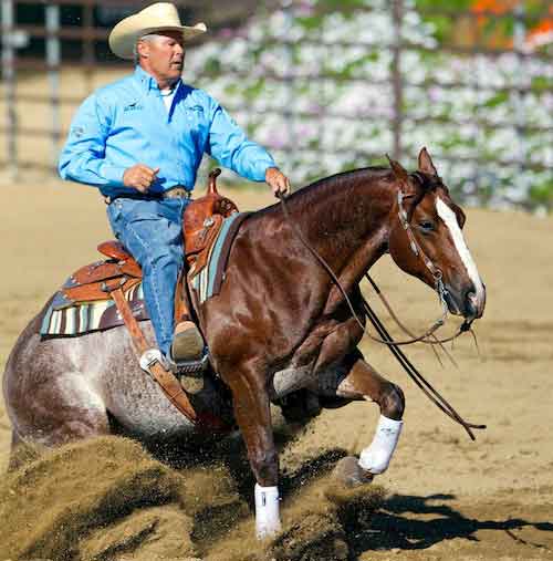 Vita Flex Victory Team Member Bob Avila To Headline at Western States Horse Expo Sacramento, CA (May 29, 2014) - Vita Flex, a leading supplier of advanced performance products for horses, is proud to announce that Victory Team member Bob Avila will be one of the main presenting clinicians at this year’s Western States Horse Expo, held June 13-15, at Cal Expo Fairgrounds in Sacramento, California. Over the years such notable presenters have included Bob Avila, Chris Cox, John Lyons, Clinton Anderson, Richard Winters, Pat Parelli, Ken McNabb, Craig Cameron, Jonathan Field, and more. Visitors benefit from a wide variety of great horse training knowledge. It's like being able to attend a dozen horsemanship clinics all in one day. Besides learning horse training tips, guests can shop for horse trailers, horse art, horses products, and all types of horse supplies.
