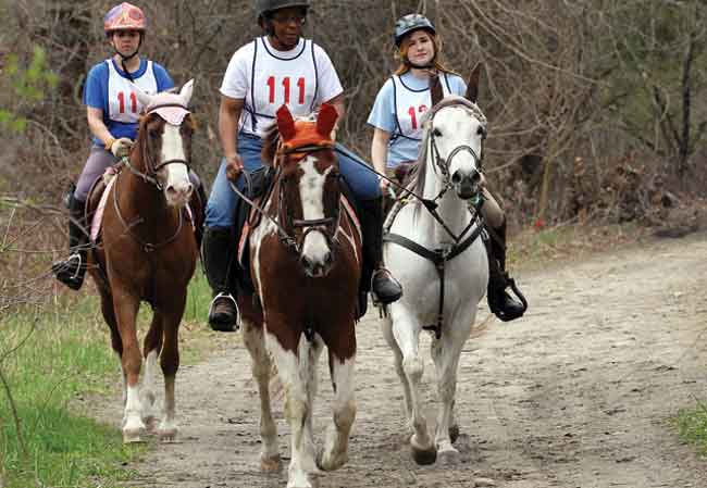 ACTHA, the American Competitive Trail Horse Association, is pleased to announce their joining with the USEF as an alliance partner.