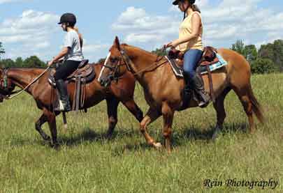 What Separates ACTHA from Other Trail Organizations For many of us the decision to join a trail organization is a major step with a variety of factors involved. Does the organization offer multiple divisions, how close are events in my area, and what is the total cost outlay are just a few. If supporting a worthy cause is just as important to you then the American Competitive Trail Horse Association (ACTHA) may be the organization for you. ACTHA is one of the largest growing trail organizations, the only one with a national presence in all 50 states as well as Canada, and the only one that gives to charity at every event (the charity being chosen by the independent ride host). ACTHA is well on course to hold 1,000 events or more this year across the United States and Canada.