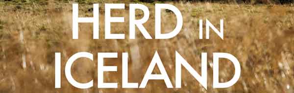 Herd in Iceland is a documentary about the annual round-up of the Icelandic horse, isolated for centuries by the country's oceanic borders.