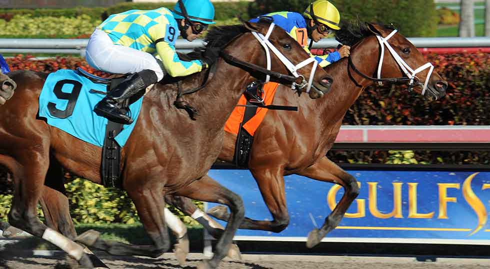 TODD PLETCHER’S ITS AKNOCKOUT HANDED DQ VICTORY IN FOUNTAIN OF YOUTH: