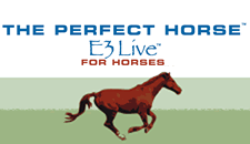 Wayne Blevins Founder of THE PERFECT HORSE® Exclusive distributor of E3Live FOR HORSES®