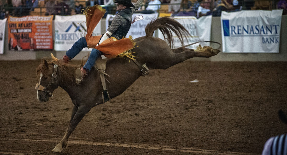 Atlantic Coast Stampede Rodeo: America’s #1 Extreme Sport Comes to the Jacksonville Equestrian Center