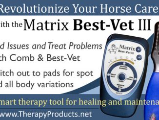 Smart Horse Care using The Matrix Best-Vet III #eliteequestrian elite equestrian magazine