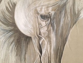 The Gift by Tam Tilley #eliteequestrian elite equestrian magazine