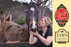 Bed & Barn Farms Tryon NC #eliteequestrian elite equestrian magazine