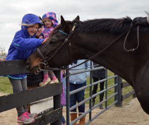 MAKER’S MARK SECRETARIAT CENTER & HORSE COUNTRY HOST ‘MEET THE NEIGHBORS’  Special Day of complimentary tours for all local horse-lovers  #eliteequestrian elite equestrian magazine