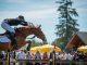 Top International Equestrian Competition in Langley elite equestrian lifestyle magazine #eliteequestrian