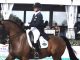 Katherine Bateson-Chandler to Represent the U.S. in June FEI Nations Cup™ Dressage Competition in Denmark elite equestrian lifestyle magazine #eliteequestrian