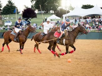 Final Night of Polo in the Park This Saturday Morven Park Wraps Up Successful First Season elite equestrian magazine #eliteequestrian
