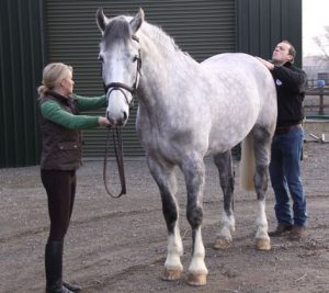 The Society of Master Saddlers in England elite equestrian magazine #eliteequestrian