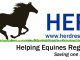 HERD 501C Horse Rescue and the Tryon Int. Film Festival! elite equestrian magazine #eliteequestrian