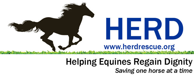HERD 501C Horse Rescue and the Tryon Int. Film Festival! elite equestrian magazine #eliteequestrian