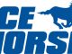 US Equestrian Announces Partnership with Ice Horse® elite equestrian magazine #eliteequestrian