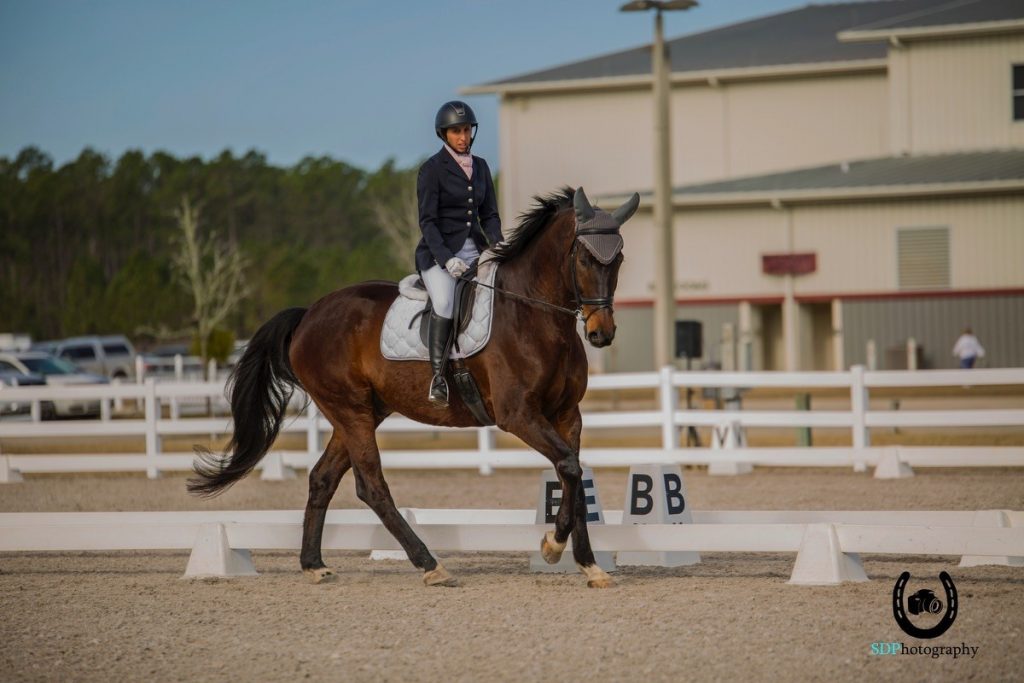 Dressage Is Tracking Up at The Jacksonville Equestrian Center Elite Equestrian magazine