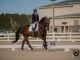 Dressage Is Tracking Up at The Jacksonville Equestrian Center Elite Equestrian magazine #eliteequestrian #horses