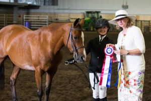 2018 Wild Rose Welsh & Open Pony Show elite equestrian magazine #eliteequestrian #horses