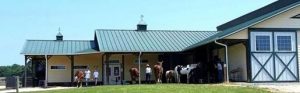 Fiore Farms elite equestrian magazine #eliteequestrian #horses