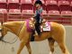 Quarter Horses Take The Reins Over Memorial Day at the Jacksonville Equestrian Center elite equestrian magazine #eliteequestrian #horses