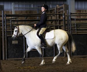 2018 Wild Rose Welsh & Open Pony Show elite equestrian magazine #eliteequestrian #horses
