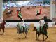 Abu Dhabi International Hunting and Equestrian Exhibition (ADIHEX) is Set to Celebrate the Legacy of Sheikh Zayed elite equestrian magazine #eliteequestrian #horses #equestrian