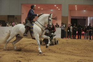 Elite Equestrian magazine. Celebrating the Equestrian Lifestyle #eliteequestrian #dubai www.eliteequestrianmagazine.com Dubai, United Arab Emirates Dubai International Horse Fair (DIHF) 