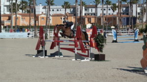 OurSun Queeny Rubin reigns supremely in the 1.30 m class at Spring MET 2019The meeco Equestrian Team competed very successfully at international high-class event in Oliva elite equestrian magazine #eliteequestrian #dubai-uae