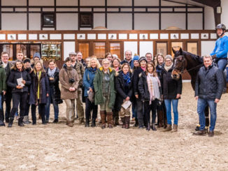 Oldenburg Summer Meeting elite equestrian magazine #equestrian #horses #equine