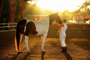 StressLess: Promoting Optimal Equine Performance elite equestrian magazine #eliteequestrian @eliteequestrian #equine