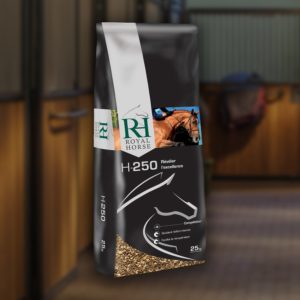 Royal Horse, a premium Feed for horse and camels, has announced a new partnership with EUROVETS, #eliteequestrian #feed