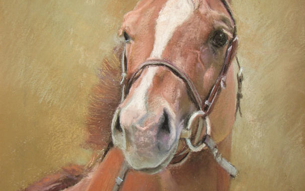 New Jersey Equine Artists’ Association #eliteequestrian #artists