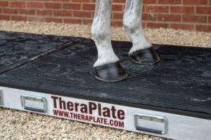 TheraPlate UAE launched as Headline Sponsor for the Dubai International Horse Fair 2020 #dubai #eliteequestrian