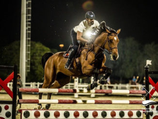 Dubai Polo and Equestrian Club Riding School's Showjumping Tuesdays #eliteequestrian #equinista #polo #dubai