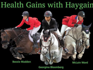 Haygain Steams Into Winter Equestrian Festival Beezie Madden, Jessica Springsteen & Darragh Kenny among hay steamers signing autographs in Haygain Vendor Village booth #eliteequestrian #haygain