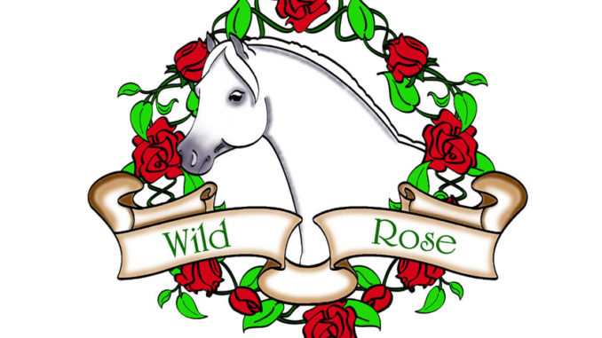 Wild Rose Welsh & Open Pony Show #pony #eliteequestrian