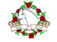 Wild Rose Welsh & Open Pony Show #pony #eliteequestrian
